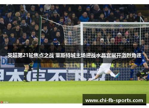 英超第21轮焦点之战 莱斯特城主场迎战水晶宫展开激烈角逐 英超第21轮焦点之战 莱斯特城主场迎战水晶宫展开激烈角逐