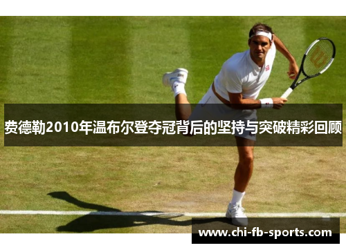费德勒2010年温布尔登夺冠背后的坚持与突破精彩回顾
