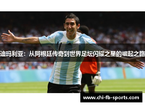 迪玛利亚：从阿根廷传奇到世界足坛闪耀之星的崛起之路